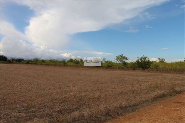 Foto 1 de Venta de terreno en Algaida de 14599 m²