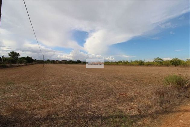 Foto 2 de Venta de terreno en Algaida de 14599 m²