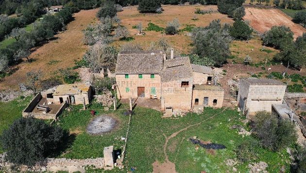 Foto 2 de Venta de terreno en Algaida de 15848 m²