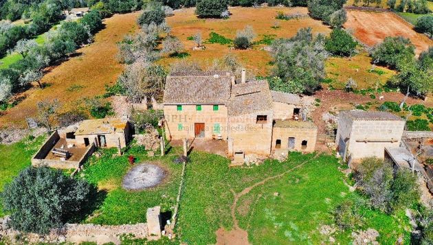 Foto 1 de Venta de terreno en Algaida de 15848 m²