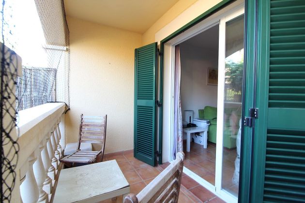Foto 1 de Piso en venta en Badia Blava-Badia Gran-Tolleric de 1 habitación con terraza y garaje