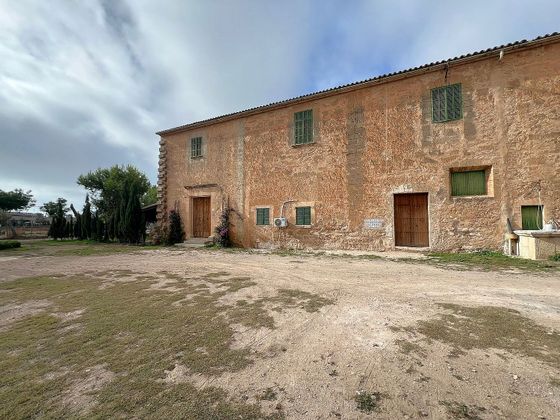 Foto 2 de Casa en venda a Sant Jordi - Son Ferriol de 4 habitacions amb terrassa i jardí