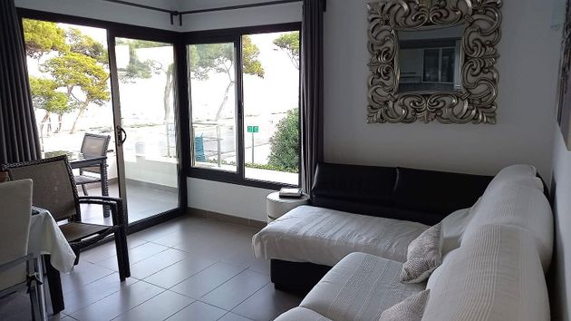 Foto 2 de Piso en venta en Port de Pollença de 1 habitación con terraza y piscina
