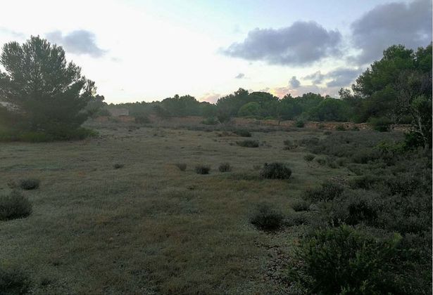 Foto 2 de Venta de terreno en Formentera de 15763 m²