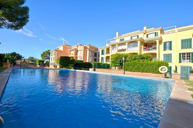 Foto 1 de Àtic en venda a Maioris-Puig de Ros de 3 habitacions amb terrassa i piscina