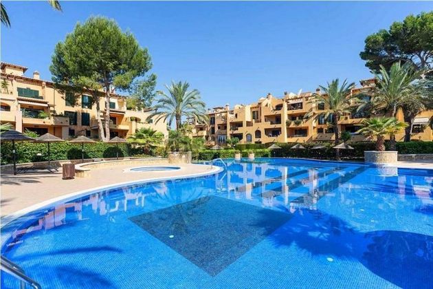 Foto 2 de Àtic en venda a Maioris-Puig de Ros de 4 habitacions amb terrassa i piscina