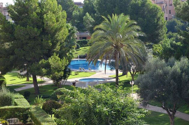 Foto 2 de Àtic en venda a Maioris-Puig de Ros de 2 habitacions amb terrassa i piscina
