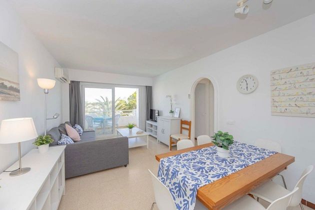 Foto 2 de Pis en venda a Port d'Alcúdia - Platja d'Alcúdia de 2 habitacions amb terrassa i piscina
