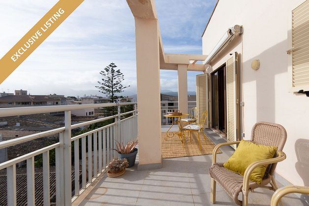Foto 1 de Pis en venda a Pobla (Sa) de 3 habitacions amb terrassa i aire acondicionat