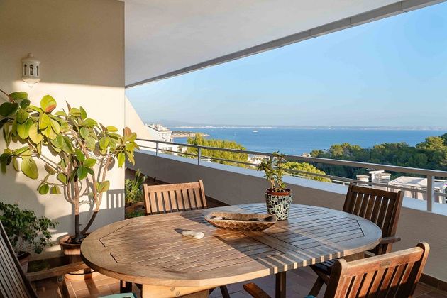 Foto 1 de Piso en venta en Cas Catala - Illetes de 5 habitaciones con terraza y piscina