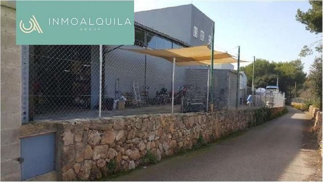 Foto 2 de Nau en venda a Port d'Alcúdia - Platja d'Alcúdia de 800 m²