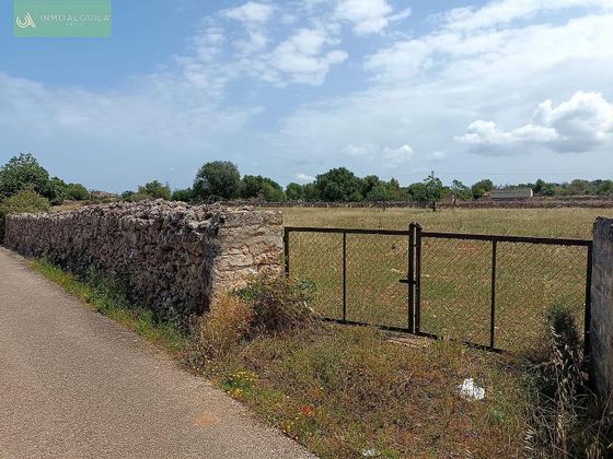 Foto 1 de Venta de terreno en Santa Margalida de 14400 m²