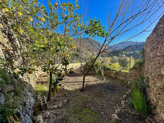 Foto 2 de Venta de casa en Valldemossa de 2 habitaciones con terraza y jardín