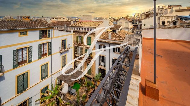 Foto 1 de Pis en venda a La Seu - Cort - Monti-sión de 2 habitacions amb terrassa i balcó