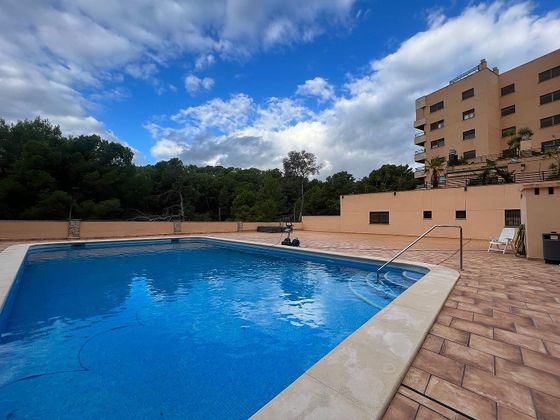 Foto 2 de Pis en venda a Cala Major de 2 habitacions amb terrassa i piscina