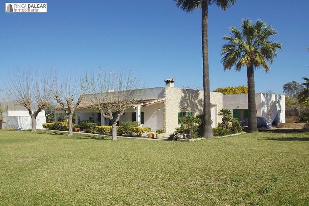 Foto 1 de Casa rural en venda a Port d'Alcúdia - Platja d'Alcúdia de 4 habitacions amb terrassa i garatge