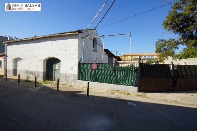 Foto 1 de Alquiler de terreno en Sa Cabana - Can Carbonell - Ses Cases Noves de 1160 m²