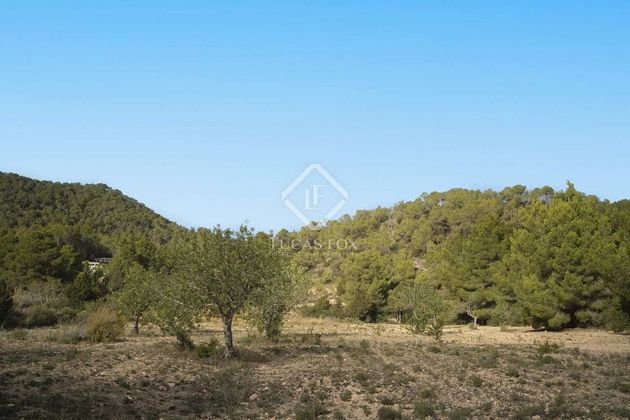 Foto 2 de Venta de terreno en Sant Josep de 30945 m²
