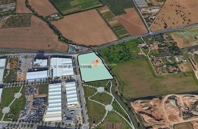 Foto 1 de Venta de terreno en Estadi Balear - Rafal Nou - Son Malferit de 15150 m²