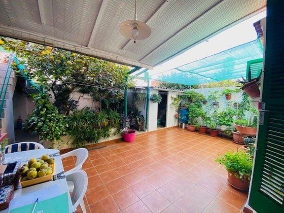 Foto 2 de Piso en venta en Bellver - Son Dureta- La Teulera de 3 habitaciones con terraza y jardín
