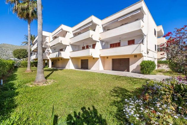 Foto 1 de Pis en venda a Port d'Alcúdia - Platja d'Alcúdia de 1 habitació amb terrassa i garatge