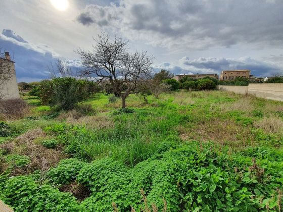 Foto 1 de Venta de terreno en Vilafranca de Bonany de 883 m²