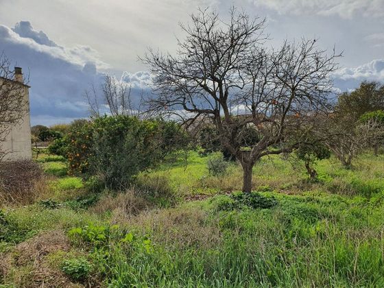Foto 2 de Venta de terreno en Vilafranca de Bonany de 883 m²