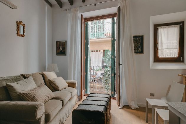 Foto 1 de Pis en venda a La Llotja - Sant Jaume de 1 habitació amb terrassa i aire acondicionat