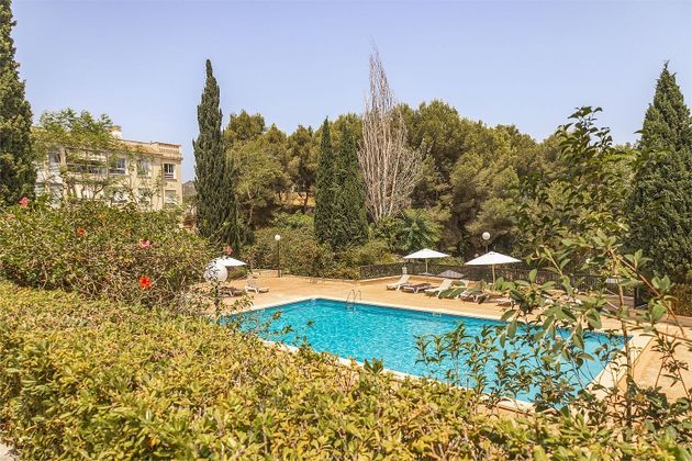 Foto 1 de Pis en venda a La Bonanova - Portopí de 3 habitacions amb terrassa i piscina