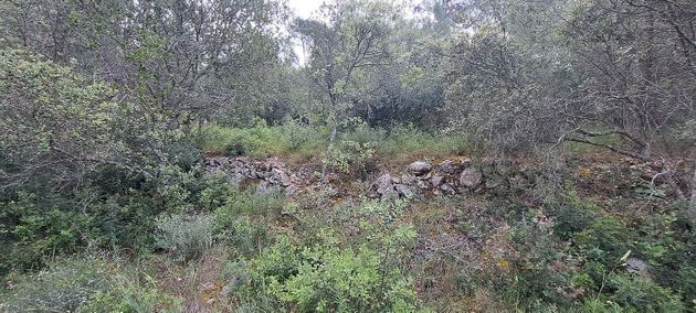 Foto 2 de Venta de terreno en Algaida de 5800 m²
