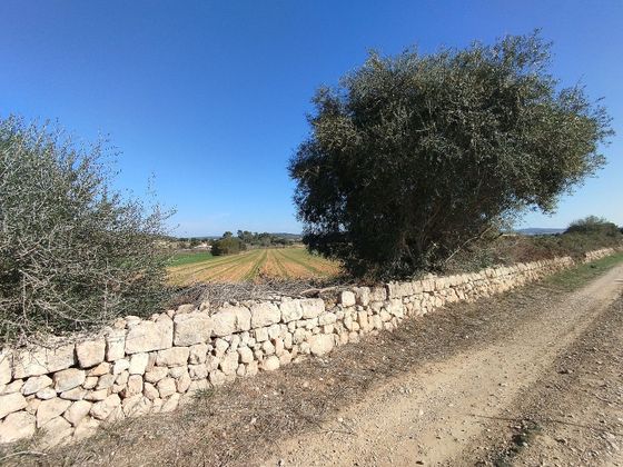 Foto 1 de Venta de terreno en Algaida de 3700 m²