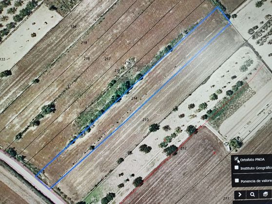 Foto 2 de Venta de terreno en Algaida de 2400 m²