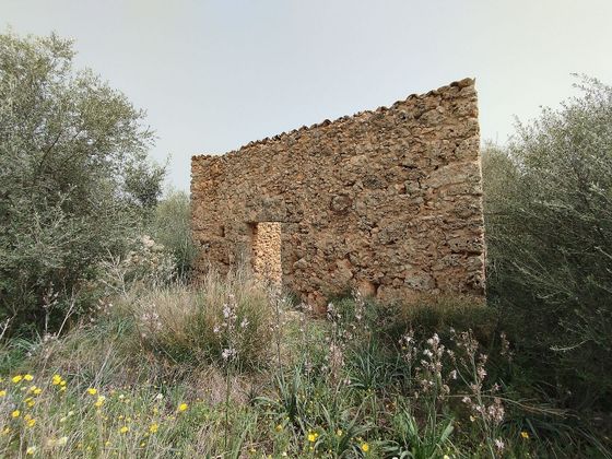 Foto 1 de Venta de terreno en Algaida de 19000 m²