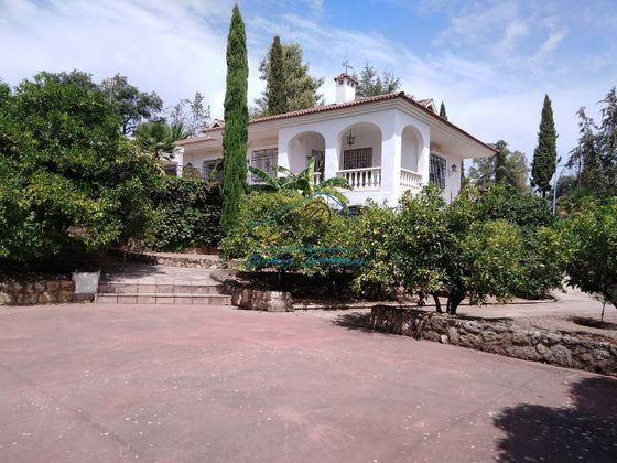 Foto 2 de Xalet en venda a El Brillante -El Naranjo - El Tablero de 4 habitacions amb terrassa i piscina