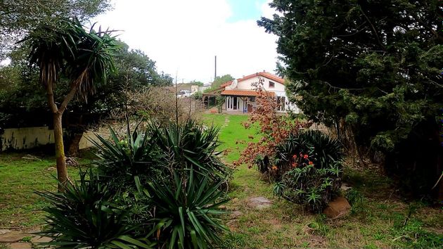 Foto 1 de Casa rural en venda a Tarifa de 4 habitacions amb terrassa i piscina