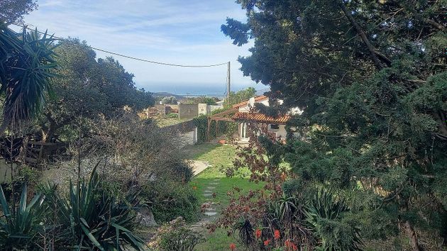 Foto 2 de Casa rural en venda a Tarifa de 4 habitacions amb terrassa i piscina