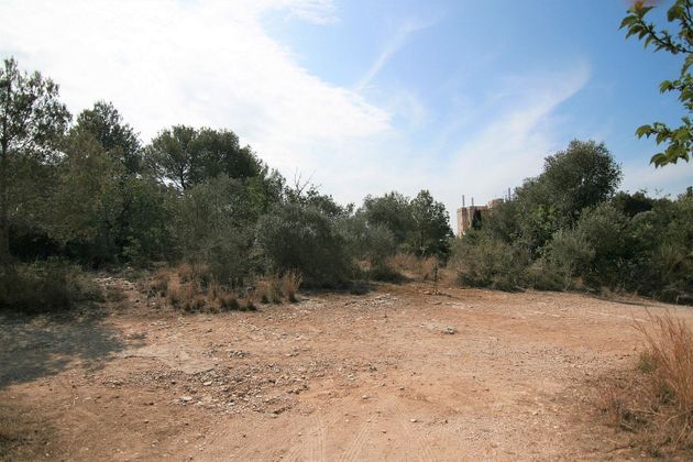 Foto 1 de Venta de terreno en L'Aragai - Prat de Vilanova de 4280 m²