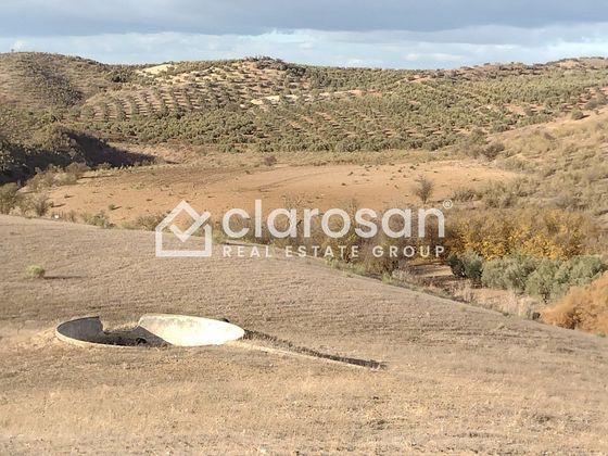 Foto 1 de Venta de terreno en Alameda de 1300000 m²