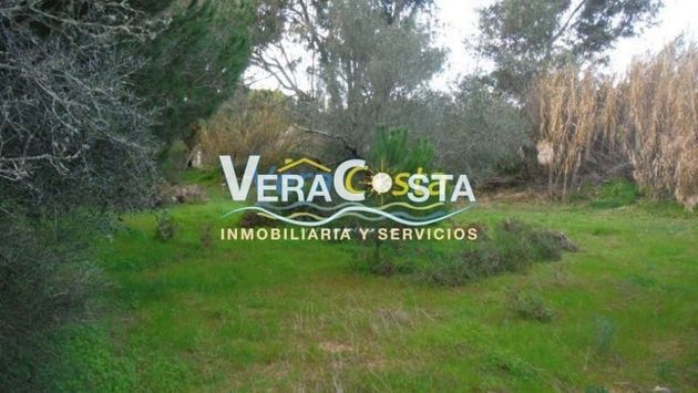 Foto 2 de Venta de terreno en Villablanca de 5000 m²