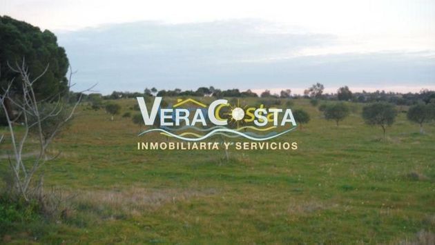 Foto 1 de Venta de terreno en Villablanca de 160000 m²