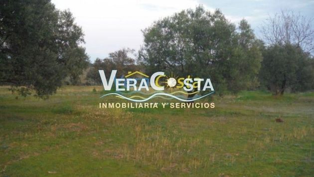 Foto 2 de Venta de terreno en Villablanca de 160000 m²