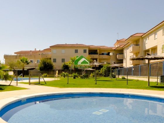 Foto 2 de Pis en lloguer a El Pino-Bajo de Guía de 3 habitacions amb piscina i garatge