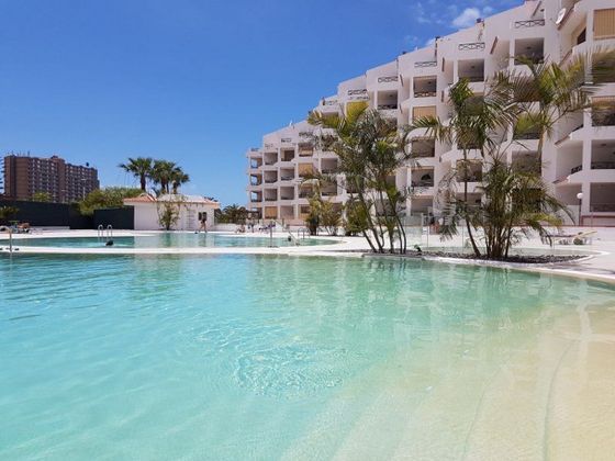 Foto 2 de Alquiler de ático en Los Cristianos - Playa de las Américas de 1 habitación con terraza y piscina