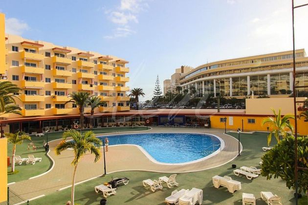 Foto 1 de Pis en lloguer a Los Cristianos - Playa de las Américas de 1 habitació amb terrassa i piscina