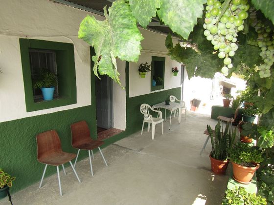 Foto 1 de Casa rural en venda a Canillas de Aceituno de 3 habitacions amb terrassa i jardí