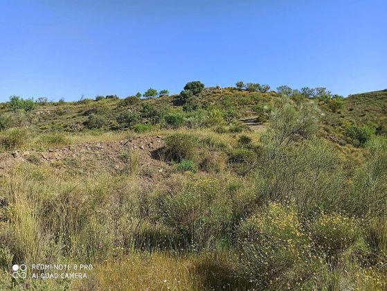 Foto 2 de Venta de terreno en Macharaviaya de 72000 m²