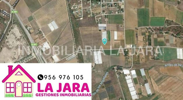 Foto 1 de Venta de terreno en Palacios y Villafranca (Los) de 3200 m²