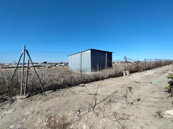 Foto 2 de Venta de terreno en Las Palmeras-Dehesilla de 3506 m²
