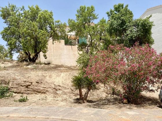 Foto 1 de Venta de terreno en Alhama de Granada de 318 m²