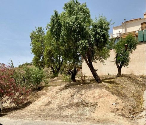 Foto 2 de Venta de terreno en Alhama de Granada de 318 m²